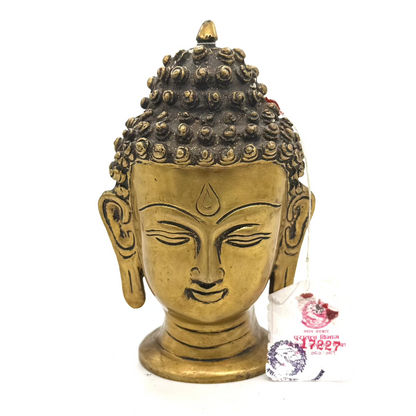 Zeigt Buddha Kopf Statue aus Messing mit weissem Hintergrund