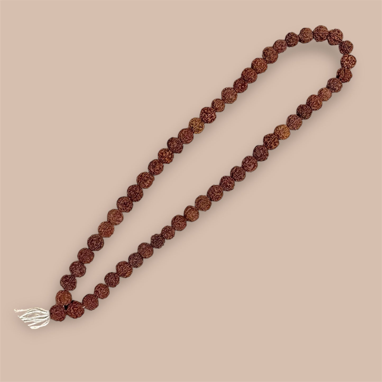 Große Indische Rudraksha 58 perlen 