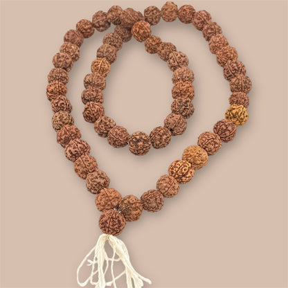 Große Indische Rudraksha 58 perlen 