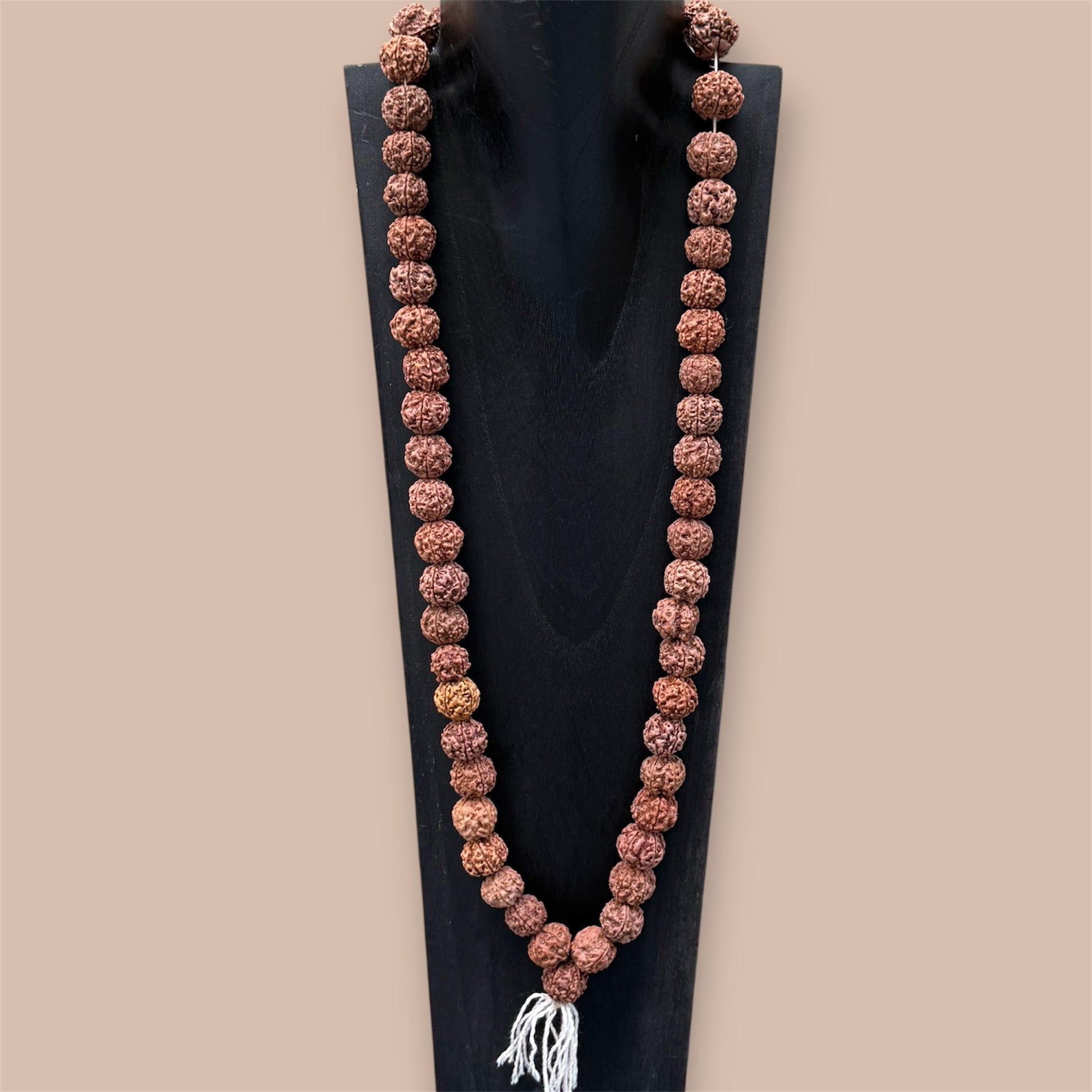 Große Rudraksha-Gebetsperle auf einem Halskettenständer