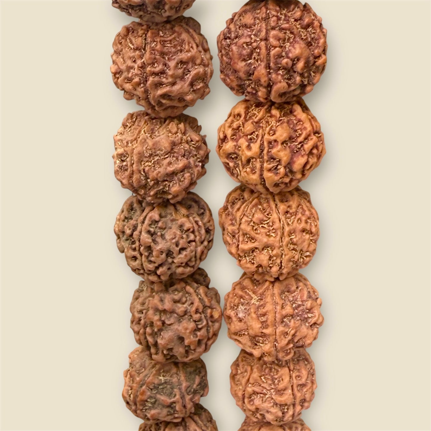 Grosse Indische Rudraksha 58 Perlen